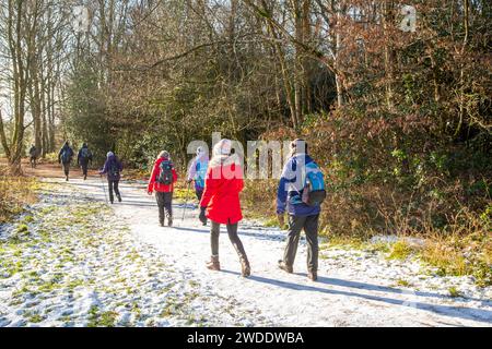 Ältere, pensionierte OAP-Mitglieder einer U3A-Wandergruppe, die sich fit und aktiv auf einem Winterspaziergang durch den Styal Country Park Cheshire England hielten Stockfoto