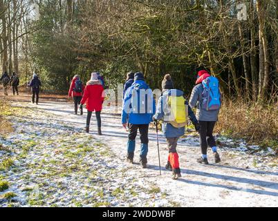 Ältere, pensionierte OAP-Mitglieder einer U3A-Wandergruppe, die sich fit und aktiv auf einem Winterspaziergang rund um den Lindow Common Country Park Wilmslow Cheshire hielten Stockfoto