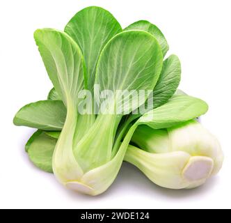 Bok Choy oder chinakohl isoliert auf weißem Hintergrund. Stockfoto