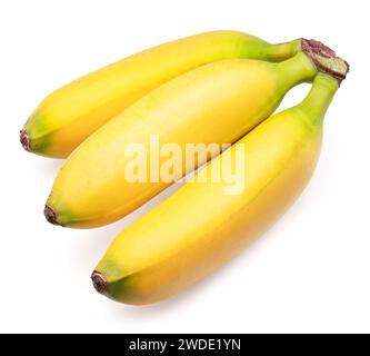 Baby-Bananen isoliert auf weißem Hintergrund. Stockfoto
