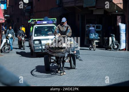 Marrakesch, Marokko - 28. Februar 2022: In den engen Gassen des alten Stadtteils Medina werden noch immer Eselskarren zum Transport von Waren eingesetzt. Stockfoto