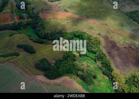 Luftlandschaft mit kleinem Bach, Bäumen und üppigen grünen Feldern auf Mauritius Stockfoto