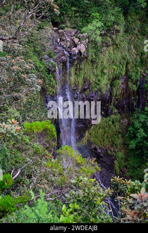 Alexandra Falls Wasserfall im Black River Gorges National Park auf Mauritius Stockfoto