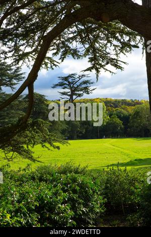 Ein Blick auf den Park im Compton Verney House, einem Landhaus aus dem 18. Jahrhundert in der Nähe von Kineton in Warwickshire, England. Stockfoto