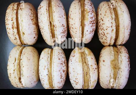 Blick von oben auf Reihen köstlicher Tiramisu Macarons Stockfoto