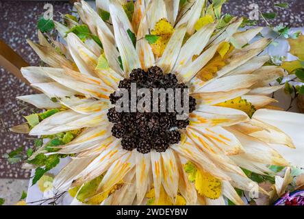 Eine große Sonnenblume besteht aus Maiszapfen und Blättern Stockfoto