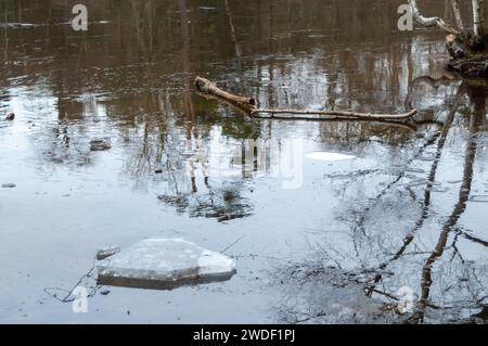 Wexham, Großbritannien. Januar 2024. Der See im Black Park Country Park in Wexham, Buckinghamshire, bleibt nach Tagen eiskalter Temperaturen gefroren. Quelle: Maureen McLean/Alamy Live News Stockfoto