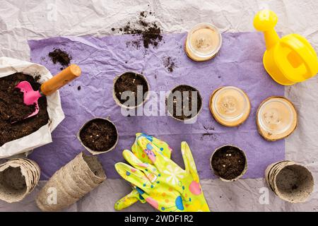 Pflanzen von Tomatensämlingen, Blick von oben auf einem Tisch mit umweltfreundlichen Töpfen und Beutel mit Boden und Handschuhen, Gartenkelle und Rechen, Vorbereitung für das Frühlingsanpflanzen von Tomaten im Garten Stockfoto
