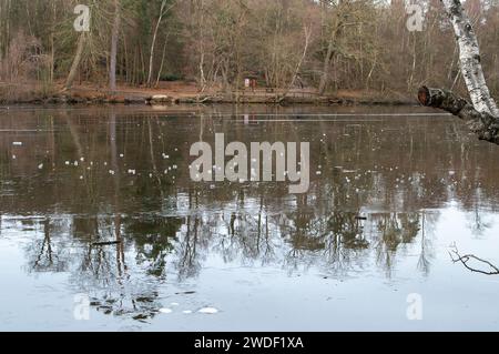 Wexham, Großbritannien. Januar 2024. Der See im Black Park Country Park in Wexham, Buckinghamshire, bleibt nach Tagen eiskalter Temperaturen gefroren. Quelle: Maureen McLean/Alamy Live News Stockfoto