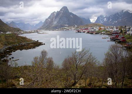 Reine, Lofoten, Norwegen. Arieal Blick auf das kleine Fischerdorf weiß von der kommerziellen Fischerei und getrockneten luftgetrockneten Kabeljau Stockfoto