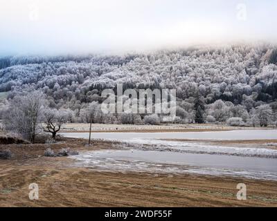 Hoarefrost auf Waldgebieten in der Nähe von Blair Atholl, Pershire, Schottland, Großbritannien. Stockfoto