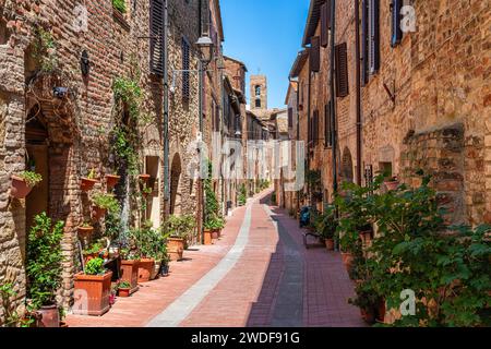 Das malerische Dorf Casole d'Elsa an einem sonnigen Sommermorgen. Provinz Siena, Toskana, Italien Stockfoto