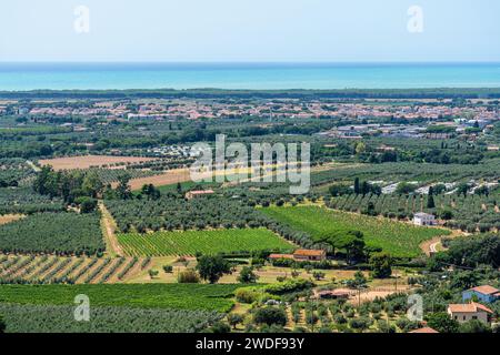 Malerische Sehenswürdigkeit im Dorf Castagneto Carducci in der Provinz Livorno, Toskana, Italien. Stockfoto