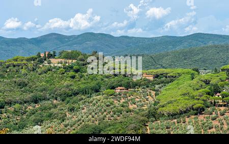 Malerische Sehenswürdigkeit im Dorf Castagneto Carducci in der Provinz Livorno, Toskana, Italien. Stockfoto