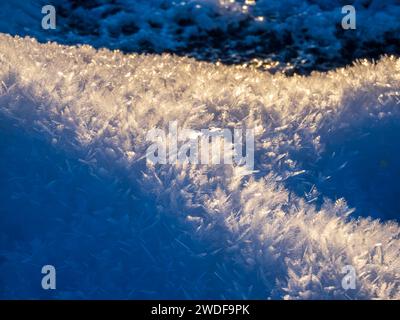 Raureifmuster in Ambleside, Lake District, Großbritannien. Stockfoto