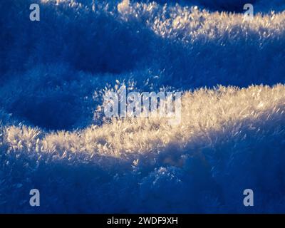 Raureifmuster in Ambleside, Lake District, Großbritannien. Stockfoto