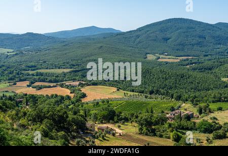 Panoramablick vom Dorf Chiusdino an einem sonnigen Sommermorgen. Provinz Siena, Toskana, Italien. Stockfoto