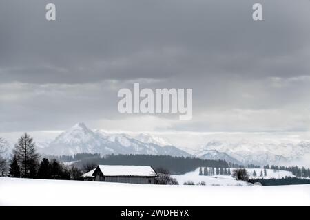 Eine einzige Hütte mit Schnee in einer Winterlandschaft mit den Alpen im Hintergrund und einem bewölkten Himmel. Stockfoto