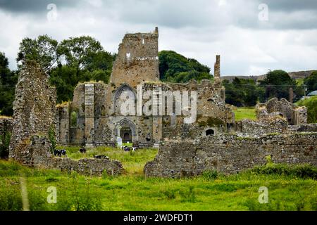 Die Ruinen von Athassel Priory, County Tipperary, Irland Stockfoto