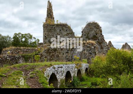 Die Ruinen von Athassel Priory, County Tipperary, Irland Stockfoto