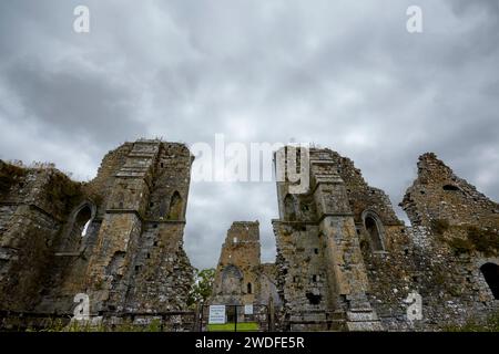 Die Ruinen von Athassel Priory, County Tipperary, Irland. Stockfoto