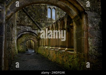 Das Kloster in Ross Errilly Friary, County Galway, Irland Stockfoto