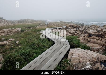 Møllenæsstien in Allinge, Bornholm. Spaziergang auf einem hölzernen Pfad durch Granitlandschaft in der Nähe des Meeres an einem nebeligen Tag. Stockfoto