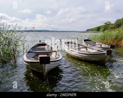 Drei weiße Ruderboote, die an einem hellen, sonnigen und windigen Tag in einem großen See vor Anker liegen Stockfoto