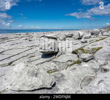 Der Burren, County Clare, Irland Stockfoto