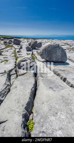 Der Burren, County Clare, Irland Stockfoto