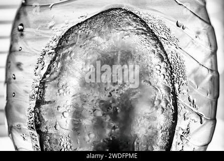 Tropfen auf Plastikwasserflasche Stockfoto