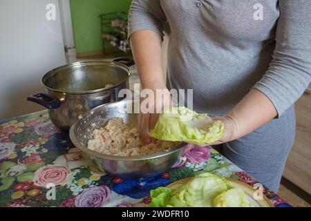 Die Frau legt die Füllung auf die Kohlblätter und wickelt sie ein Stockfoto