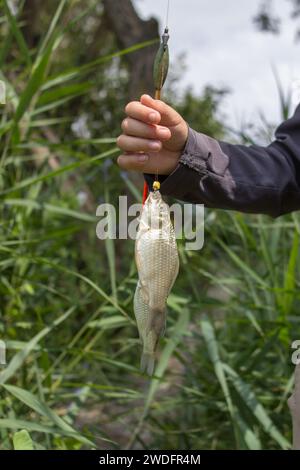 Der Junge hält einen kleinen Fisch am Haken Stockfoto