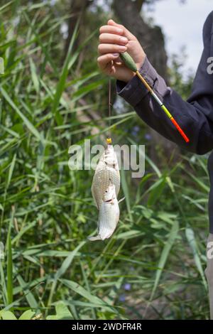 Der Junge fing zwei Fische an der Angelschnur Stockfoto