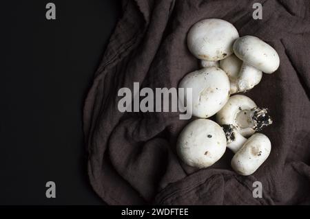 Pilzfotografie Komposition Lebensmittelkunst Stockfoto