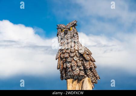 Holzskulpturen entlang der Esquimalt Lagoon, Victoria, Vancouver Island, British Columbia, Kanada. Stockfoto