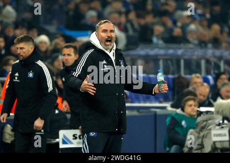 Gelsenkirchen, Deutschland. Januar 2024. Gelsenkirchen, Deutschland, 2024-1-20, Veltins Arena, 2. Bundesliga: FC Schalke 04 - Hamburger SV Bild: Cheftrainer Tim Walter (Hamburger SV) gestikuliert,/DFB/DFL DIE VERWENDUNG VON FOTOGRAFIEN ALS BILDSEQUENZEN UND/ODER QUASI-VIDEO ist VERBOTEN. Quelle: dpa/Alamy Live News Stockfoto