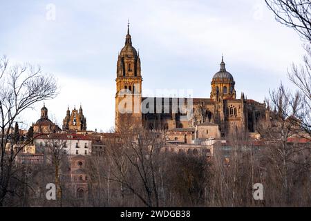 Blick auf die Skyline von Salamanca mit Kathedrale über den Fluss Tormes, Salamanca. Stockfoto