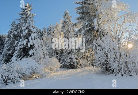 Ein sonniger Tag in den alpen. Frischer Schnee und blauer Himmel. Die Sonne scheint auf weißem Schnee an kalten Tagen. Stockfoto