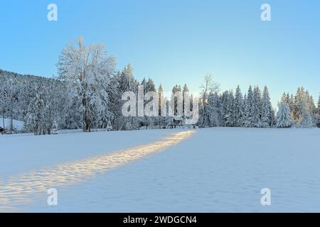 Ein sonniger Tag in den alpen. Frischer Schnee und blauer Himmel. Die Sonne scheint auf weißem Schnee an kalten Tagen. Stockfoto