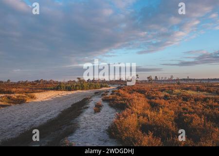 Machen Sie einen Spaziergang durch die wilden Weiden des Grenspark Kalmthoutse Heide in der Nähe von Antwerpen im Nordwesten Belgiens. Morgensonne beleuchtet den Weg. Sonnenaufgang. Stockfoto