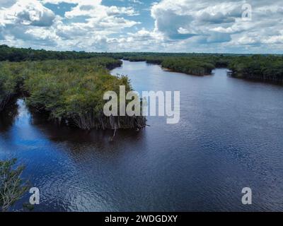 Der Rio fließt im dichten Amazonaswald in Brasilien Stockfoto