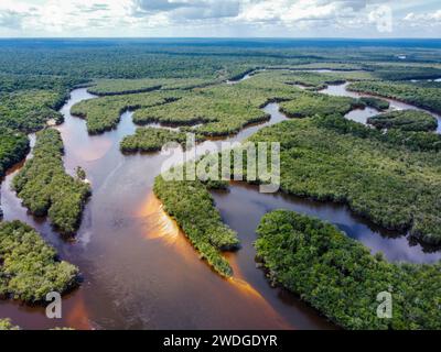 Der Rio fließt im dichten Amazonaswald in Brasilien Stockfoto