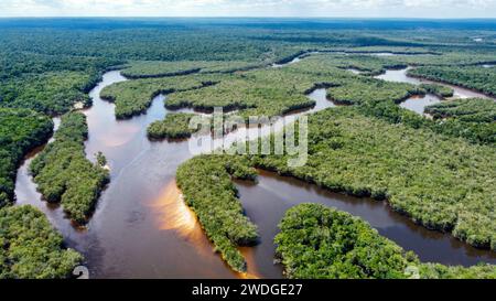 Der Rio fließt im dichten Amazonaswald in Brasilien Stockfoto