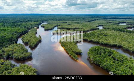 Der Rio fließt im dichten Amazonaswald in Brasilien Stockfoto