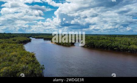 Der Rio fließt im dichten Amazonaswald in Brasilien Stockfoto