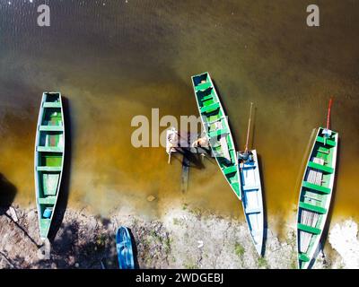 Der Rio fließt im dichten Amazonaswald in Brasilien Stockfoto