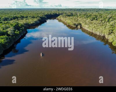 Der Rio fließt im dichten Amazonaswald in Brasilien Stockfoto