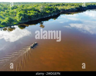 Der Rio fließt im dichten Amazonaswald in Brasilien Stockfoto