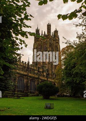 Blick auf den Turm der Pfarrkirche St Giles' vom Kirchengelände in Wrexham, Wrexham County Borough, Wales Stockfoto